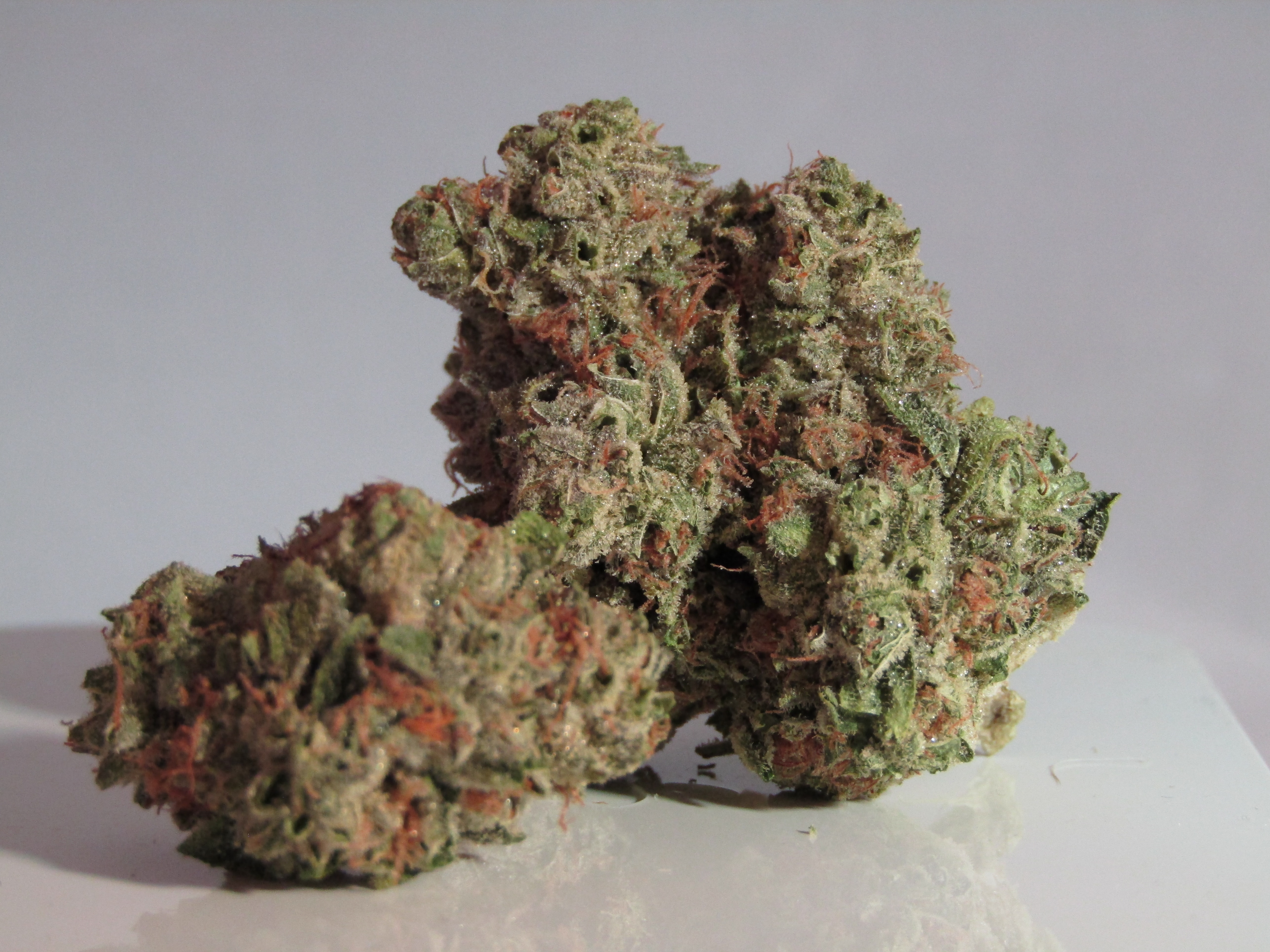 picture of sour deisel marijuana